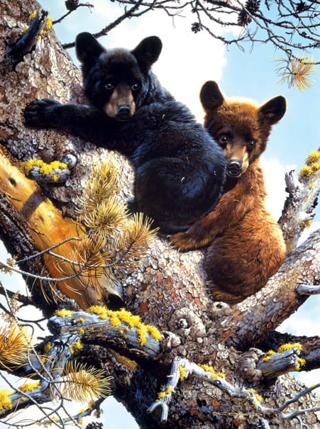 carl-benders-high-adventure-jigsaw-puzzle-1000-pieces.64245-1.fs.jpg