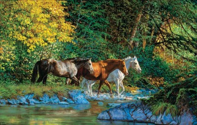SunsOut 1000 -  Chris Cummings - Bear Creek Crossing