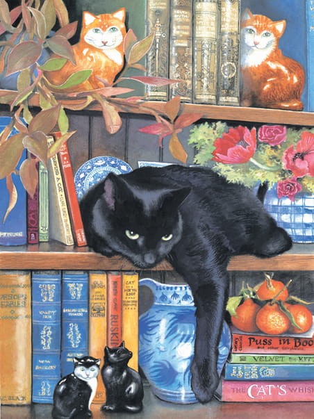 chrissy-snelling-on-the-shelf-jigsaw-puzzle-1000-pieces.64452-1.fs.jpg