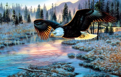 SunsOut 1000 -  Cynthie Fisher - Eagle Dawn