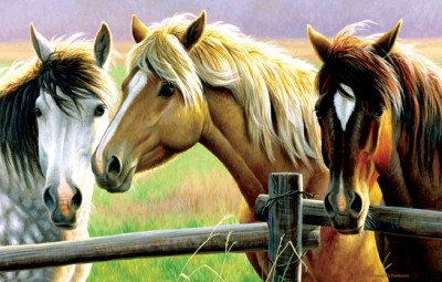 SunsOut 1000 -  Cynthie Fisher - Horse Fence