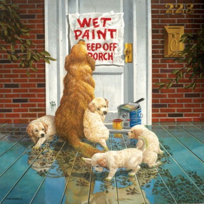 SunsOut 1000 -  Don Crook - Wet Paint