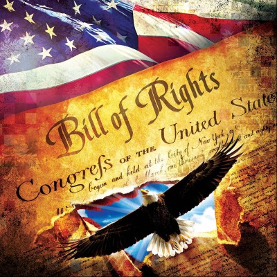 SunsOut 1000 -  Evie Cook - The Bill of Rights
