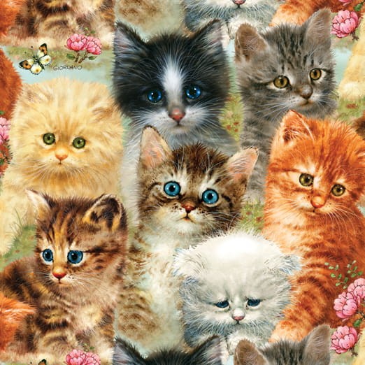 giordano-studios-a-pile-of-kittens-jigsaw-puzzle-1000-pieces.45050-1.fs.jpg