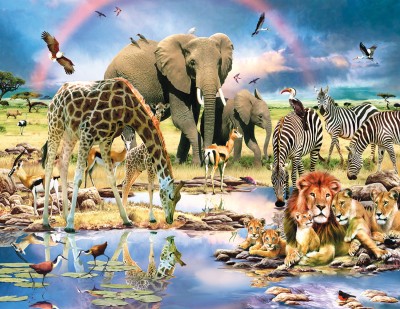 SunsOut 1000 -  Howard Robinson - Cradle of Life