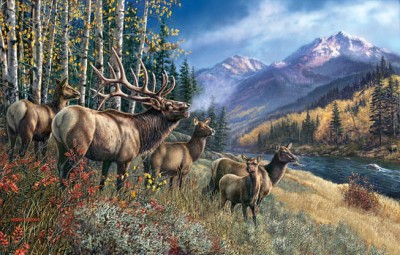 SunsOut 1000 -  James Meger - Elk Anthem