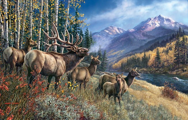 james-meger-elk-anthem-jigsaw-puzzle-1000-pieces.44982-1.fs.jpg