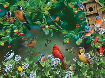 SunsOut 1000 -  Jerry Gadamus - Bird Festival