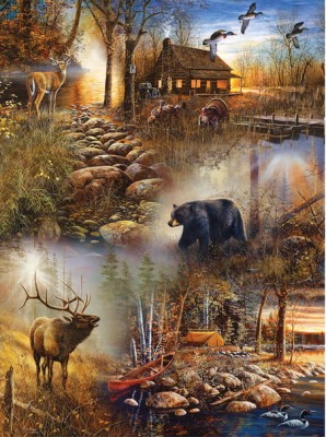 SunsOut 1000 -  Jim Hansel - Forest Collage