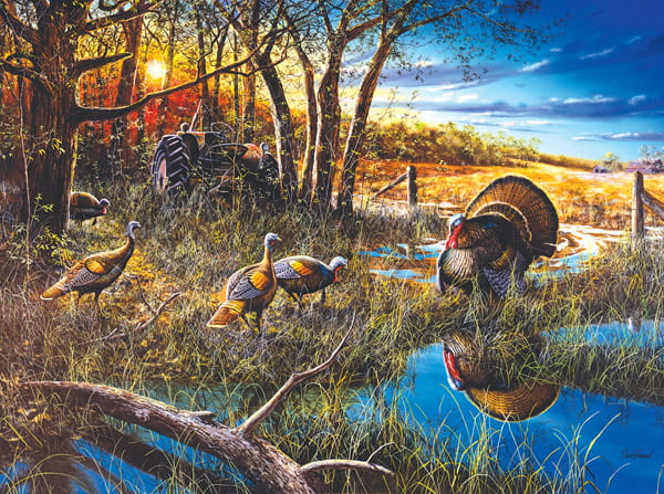 jim-hansel-the-challenge-jigsaw-puzzle-1000-pieces.65866-1.fs.jpg