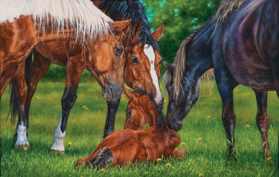 SunsOut 1000 -  Kim Penner - A Welcome New Arrival