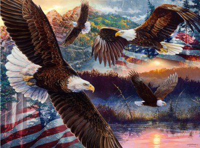 SunsOut 1000 -  Land of Freedom