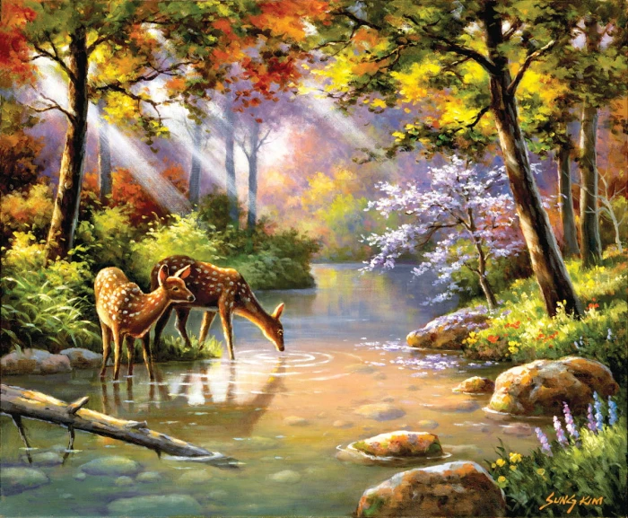 sung-kim-doe-re-me-creek-jigsaw-puzzle-1000-pieces.64029-1.fs.jpg