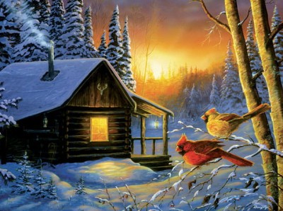 SunsOut 1000 -  Terry Doughty - Golden Frost