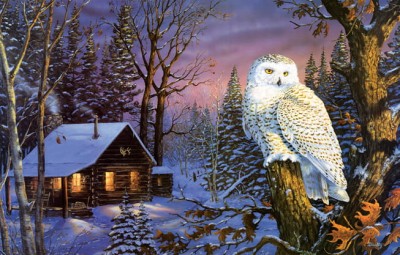 SunsOut 1000 -  Terry Doughty - Night Watch
