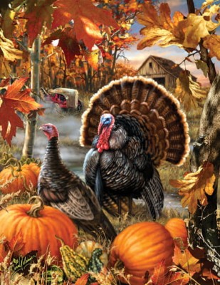 SunsOut 1000 XXL - Dona Gelinger - Gobbler Farms