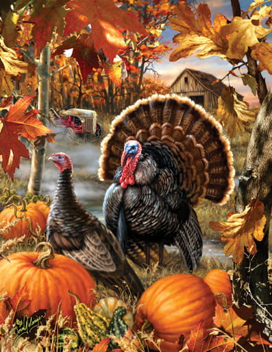 xxl-pieces-dona-gelinger-gobbler-farms-jigsaw-puzzle-1000-pieces.64229-1.jpg