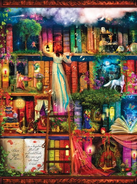 aimee-stewart-treasure-hunt-bookshelf-jigsaw-puzzle-1000-pieces.64159-1.fs.jpg