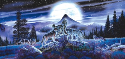 SunsOut 1000 - Al Agnew - Night Wolves