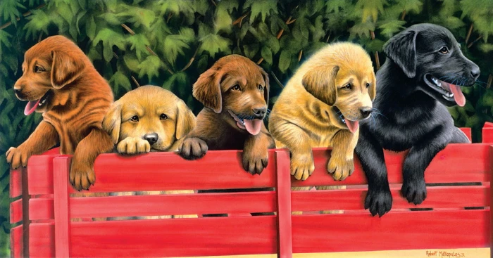 xxl-pieces-all-aboard-jigsaw-puzzle-500-pieces.80204-1.fs.jpg