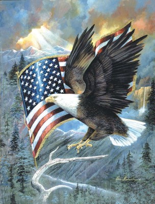 SunsOut 500 -  XXL Pieces - American Eagle