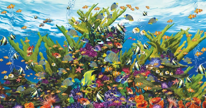 xxl-pieces-aquarium-of-the-sea-jigsaw-puzzle-500-pieces.80366-1.fs.jpg