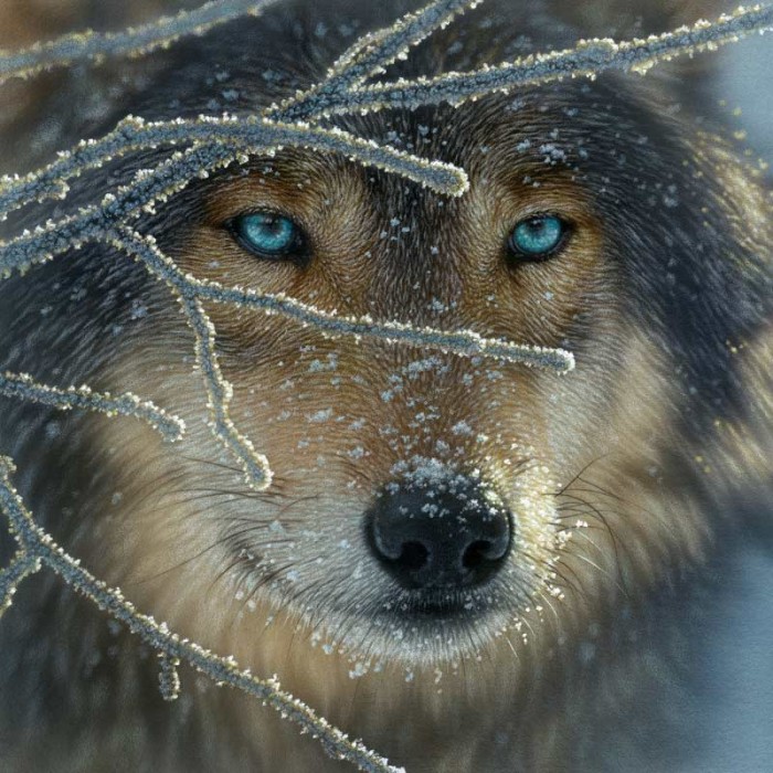 xxl-pieces-fire-within-ice-jigsaw-puzzle-500-pieces.79835-1.fs.jpg