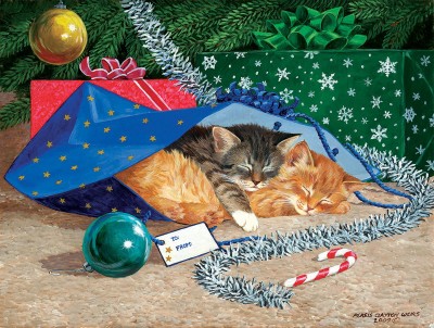 SunsOut 500 -  XXL Pieces - Nap Sack Cat