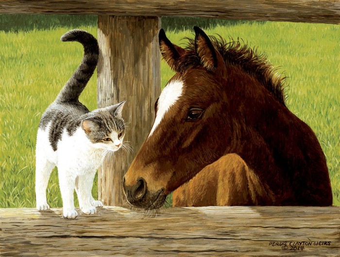 xxl-pieces-whiskery-hello-jigsaw-puzzle-500-pieces.80176-1.fs.jpg