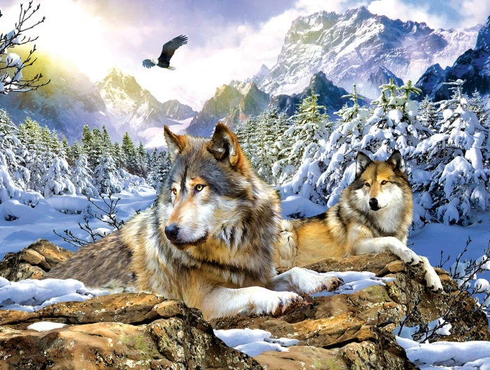 xxl-pieces-snow-wolf-jigsaw-puzzle-500-pieces.80213-1.fs.jpg