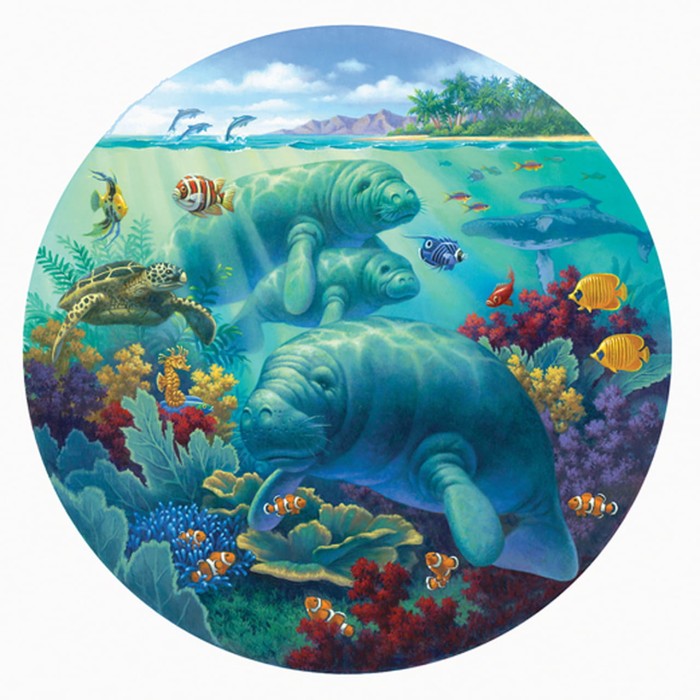 xxl-pieces-manatee-beach-jigsaw-puzzle-500-pieces.80229-1.fs.jpg