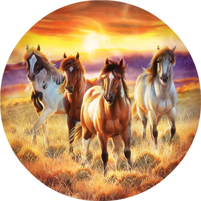xxl-pieces-running-in-the-sun-jigsaw-puzzle-500-pieces.80348-1.fs.jpg
