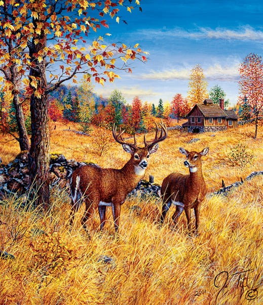 jeff-tift-colors-of-autumn-jigsaw-puzzle-550-pieces.65817-1.fs.jpg