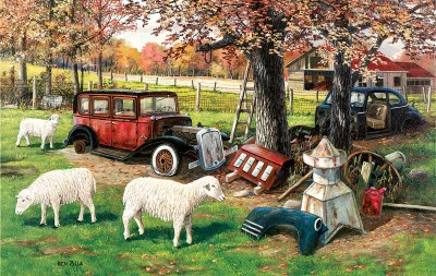 SunsOut 550 -  Ken Zylla - Out To Pasture