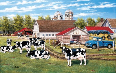 SunsOut 550 -  Ken Zylla - The Home Place