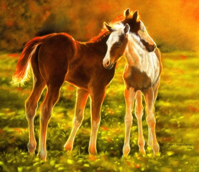 SunsOut 550 -  Lesley Harrison - Backlit Foals