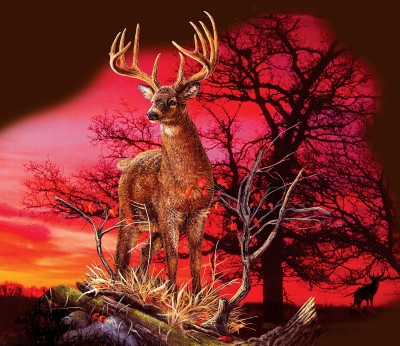 SunsOut 550 -  Gordon Semmens - Red Sunset
