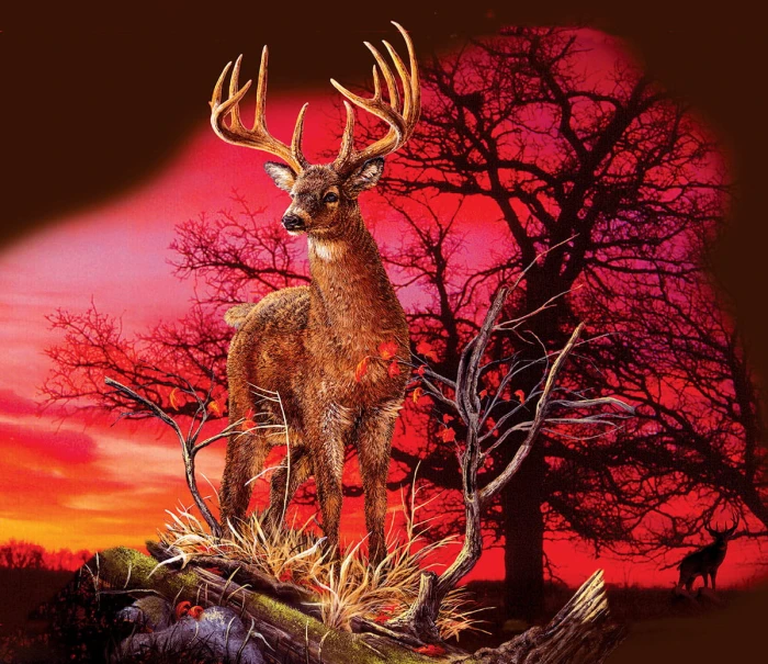 gordon-semmens-red-sunset-puzzle-550-teile.64156-1.fs.jpg