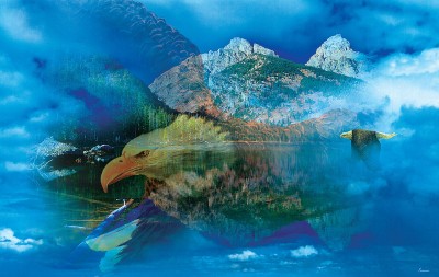 SunsOut 550 -  Gordon Semmens - Eagle Dreamscape