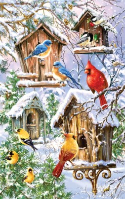 SunsOut 550 -  Dona Gelsinger - Snow Birds
