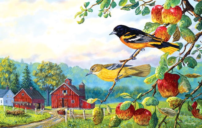 terry-doughty-old-orchard-hideaway-jigsaw-puzzle-550-pieces.64350-1.fs.jpg