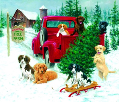 SunsOut 550 -  Jim Killen - Christmas Tree Farm