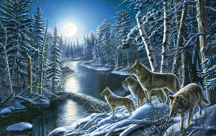 james-meger-silent-shadows-jigsaw-puzzle-550-pieces.63949-1.fs.jpg