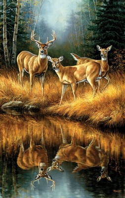 SunsOut 550 -  Rosemary Millette - Whitetail Reflections