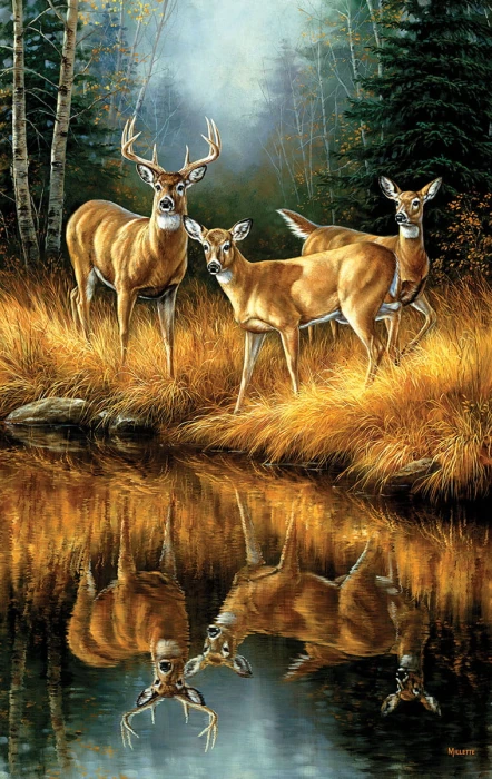 rosemary-millette-whitetail-reflections-jigsaw-puzzle-550-pieces.63989-1.fs.jpg