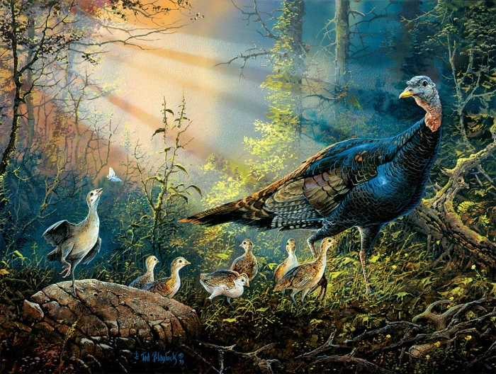 xxl-pieces-turkey-in-the-sun-rays-jigsaw-puzzle-300-pieces.80006-1.fs.jpg