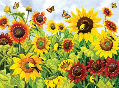 SunsOut 300 -  XXL Pieces - Sunflowers and Goldfinch