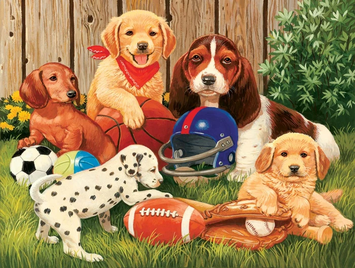 xxl-pieces-sports-fans-jigsaw-puzzle-300-pieces.79916-1.fs.jpg