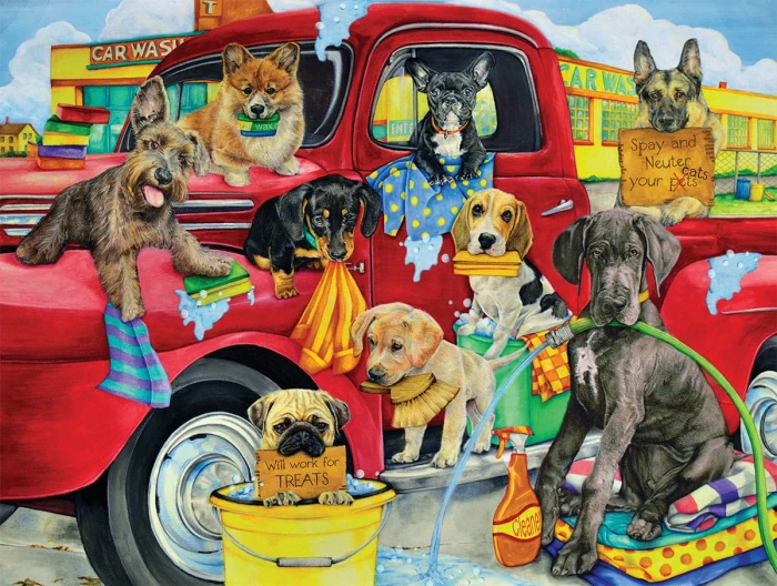 xxl-pieces-puppy-car-wash-jigsaw-puzzle-300-pieces.80300-1.fs.jpg