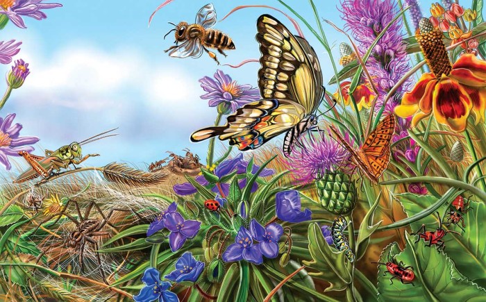 xxl-pieces-prairie-spread-jigsaw-puzzle-300-pieces.79829-1.fs.jpg